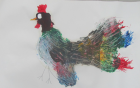 Eva-rooster
